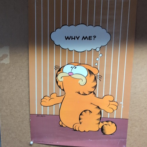 Garfield why poster jim - garfield,